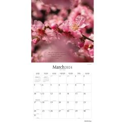 Mindful Days 2024 Wall Calendar 12 Mindful Days 2024 Wall Calendar -Calendars Sales Store 9556a0f4 c912 47a2 8558 4de56472f924