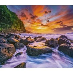 Islands WWF 2024 Wall Calendar -Calendars Sales Store 955a685b 21e5 4118 befe 5463de713e89