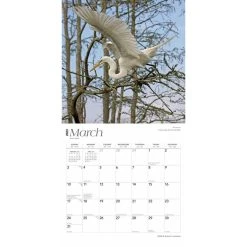 Louisiana Wild And Scenic 2024 Wall Calendar -Calendars Sales Store 963073c7 0312 414e afce 924e2535b6d1