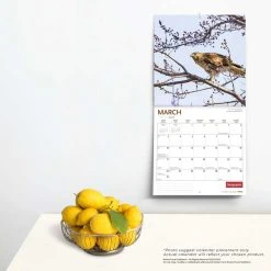 Birds 2024 Wall Calendar -Calendars Sales Store 969382d7 df5d 404d aff2 b593cf789314