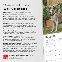 American Staffordshire Terriers 2024 Wall Calendar -Calendars Sales Store 97b3c266 c493 4cb1 b25c fafcc0c01caf