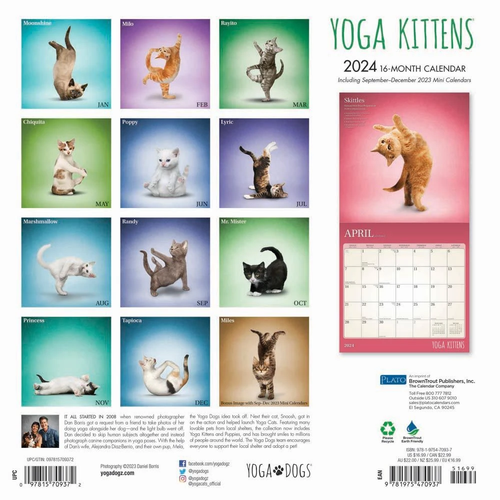 Yoga Kittens 2024 Wall Calendar 4 Yoga Kittens 2024 Wall Calendar - Image 2