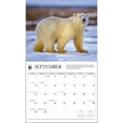 Polar Bears WWF 2024 Wall Calendar -Calendars Sales Store 991b6116 d668 413f a9f7 157929d9519b