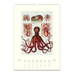 Sea Life 2024 Poster Wall Calendar -Calendars Sales Store 9959d307 d68e 45c6 a878 28fba4439683