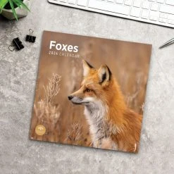 Foxes 2024 Wall Calendar 16 Foxes 2024 Wall Calendar -Calendars Sales Store 998ccfd5 13fa 4422 8588 ed1ec7b15fa0