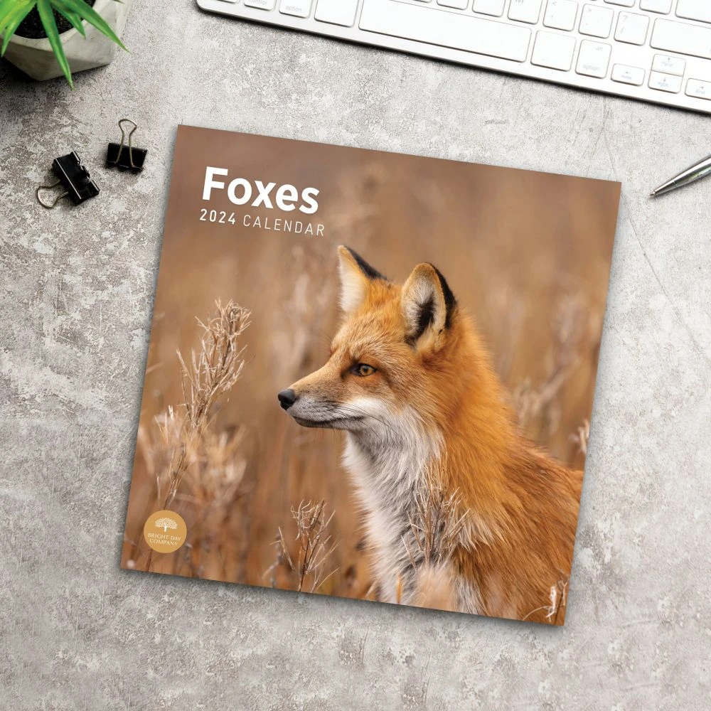 Foxes 2024 Wall Calendar 8 Foxes 2024 Wall Calendar - Image 6