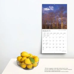 Virginia Wild And Scenic 2024 Wall Calendar -Calendars Sales Store 9ab22e3b 3922 49b8 be18 0bc6124ffee6