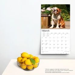 Bulldogs Deluxe 2024 Wall Calendar -Calendars Sales Store 9abb6203 e109 498a a7a2 c31c548c1b29