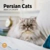 Persian Cats 2024 Wall Calendar -Calendars Sales Store 9b103d06 ad26 449c 8935 226a807b3a98