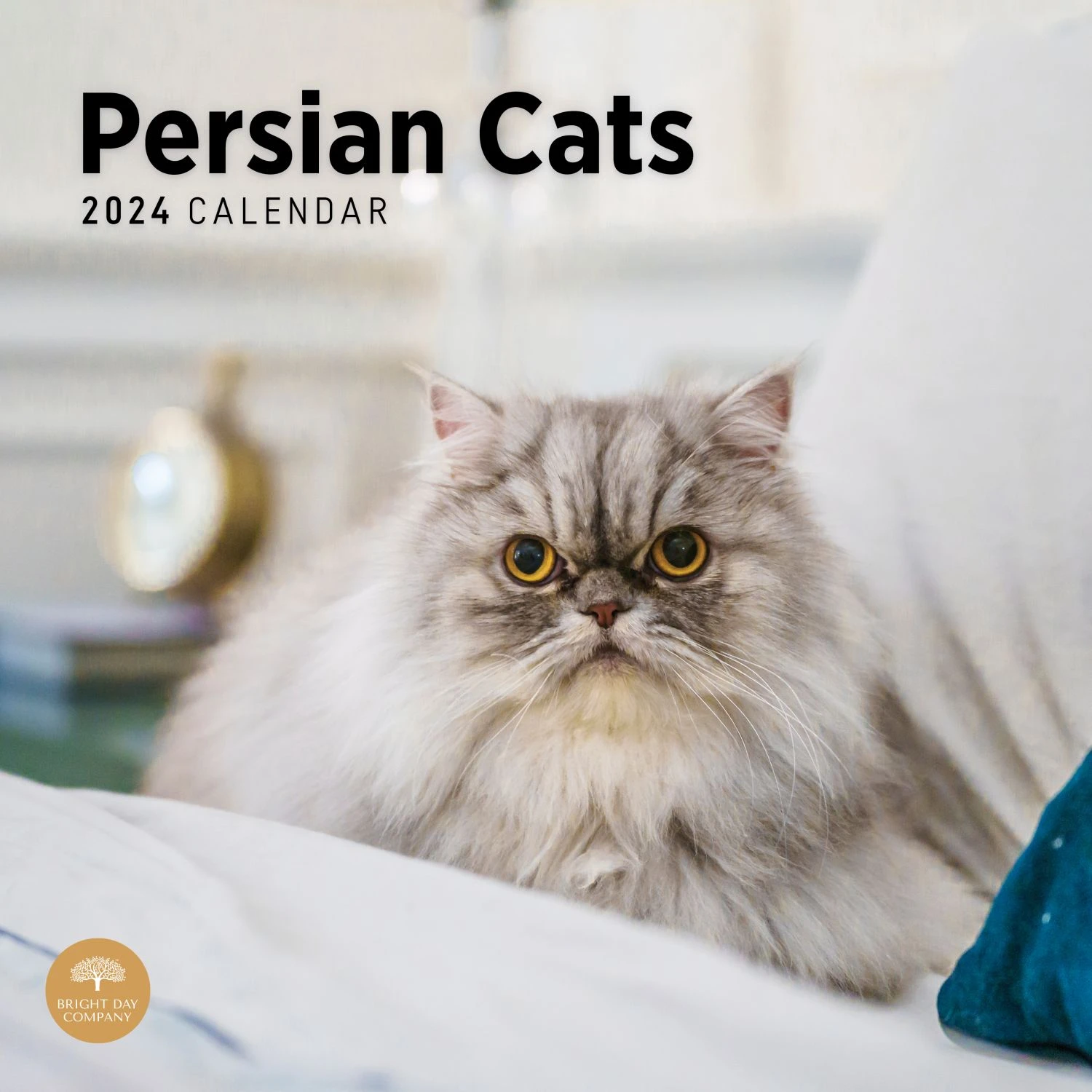 Persian Cats 2024 Wall Calendar 3 Persian Cats 2024 Wall Calendar