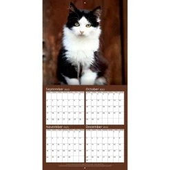 Cats Photo 2024 Wall Calendar -Calendars Sales Store 9b77e6ed b9b0 4a2c 84bb 3d3d124e7f26