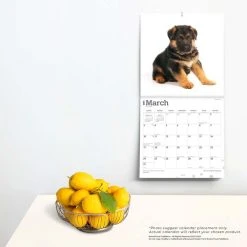German Shepherd Puppies 2024 Wall Calendar 13 German Shepherd Puppies 2024 Wall Calendar -Calendars Sales Store 9c33ecff 04ad 41f4 a697 cdbbce34a032