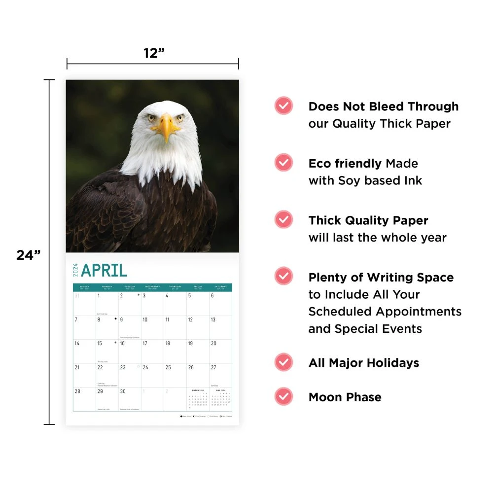 Bald Eagles 2024 Wall Calendar 10 Bald Eagles 2024 Wall Calendar - Image 8