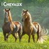 Chevaux Horses 2024 Wall Calendar 2 Chevaux Horses 2024 Wall Calendar -Calendars Sales Store 9d2b768d 5e11 461f 8af6 e802fc3b4947
