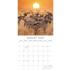 Safari 2024 Wall Calendar -Calendars Sales Store 9faa3ab2 366a 4b38 ab1f 547e86a6e443