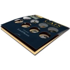 Cats Spiral 2024 Wall Calendar -Calendars Sales Store a0a1162b 033d 4e99 8c5b 19f83cb34a09