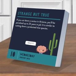 Smarty Pants 2024 Desk Calendar -Calendars Sales Store a1220abc 112a 49d3 af31 e5ba0e885486