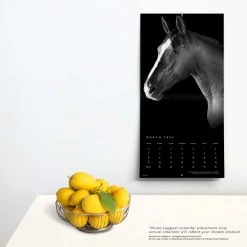 Horse Noble Portrait Series 2024 Wall Calendar -Calendars Sales Store a2b46d5c 7428 41cd 8350 18ac275e4e08
