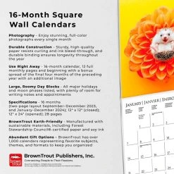 Happiest Hedgehogs 2024 Wall Calendar -Calendars Sales Store a2ea33e8 11cf 494b a23f 859e2aad0fff