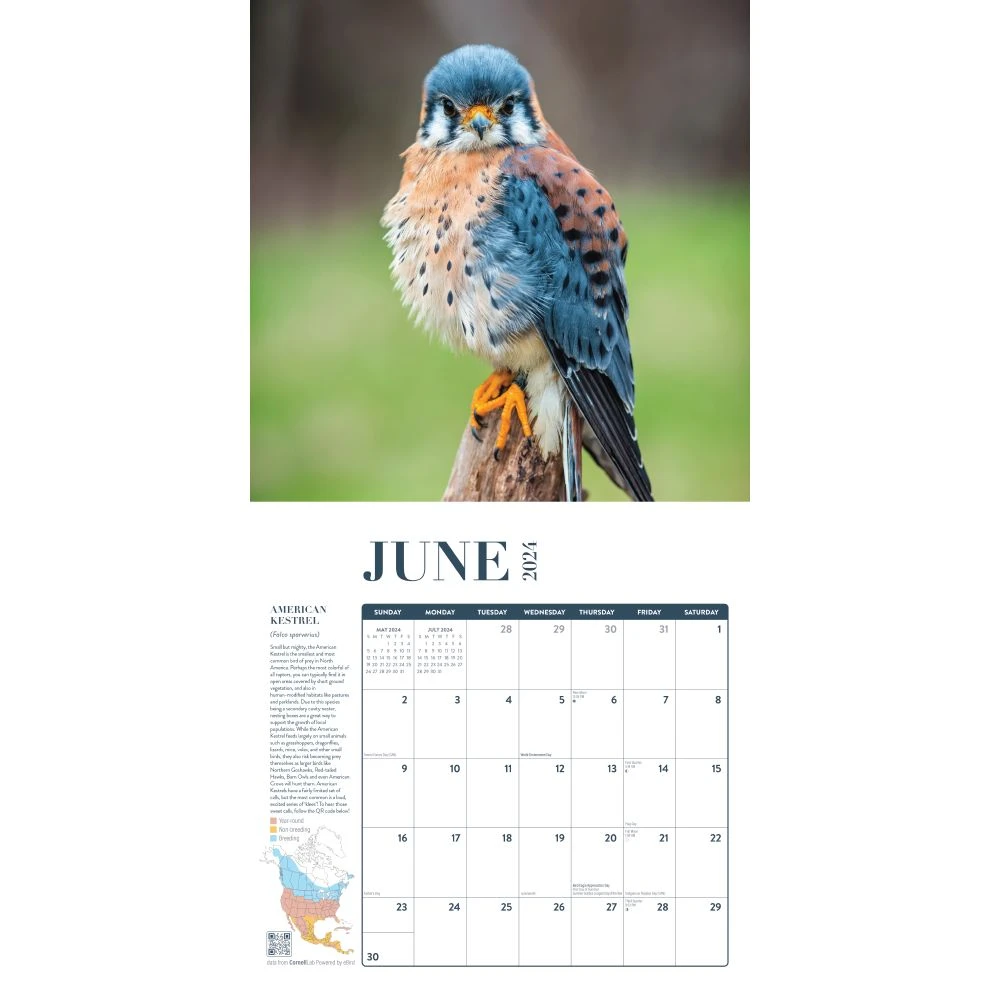 Birds Feathered Friends 2024 Wall Calendar 6 Birds Feathered Friends 2024 Wall Calendar - Image 4