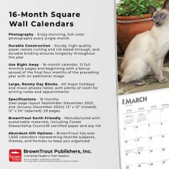 Cats Siamese 2024 Wall Calendar -Calendars Sales Store a39b0a43 71bb 4968 a6b6 1436b1cfba81