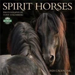 Horses Spirit 2024 Wall Calendar