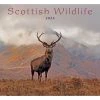 Scottish Wildlife 2024 Wall Calendar -Calendars Sales Store a55d8292 d242 4e8f a603 6582bbb245e5