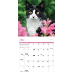 Cats 2024 Wall Calendar -Calendars Sales Store a5a7413f 636a 4226 85a9 584c6270eebf