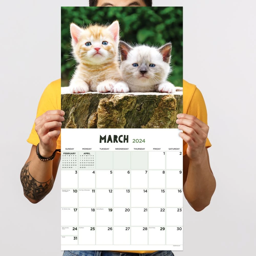 Kittens 2024 Wall Calendar 7 Kittens 2024 Wall Calendar - Image 5