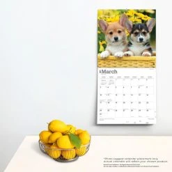 Welsh Corgis 2024 Wall Calendar -Calendars Sales Store a6aaa985 9fe9 4fdd a9ea 11500d04e575