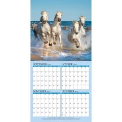 Horses Photo 2024 Wall Calendar 10 Horses Photo 2024 Wall Calendar -Calendars Sales Store a75276a2 3957 4983 9a73 32224be8813e