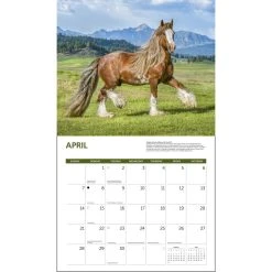 Horses Deluxe 2024 Wall Calendar -Calendars Sales Store a767f6fa 052e 4df6 a129 fe2167d02145
