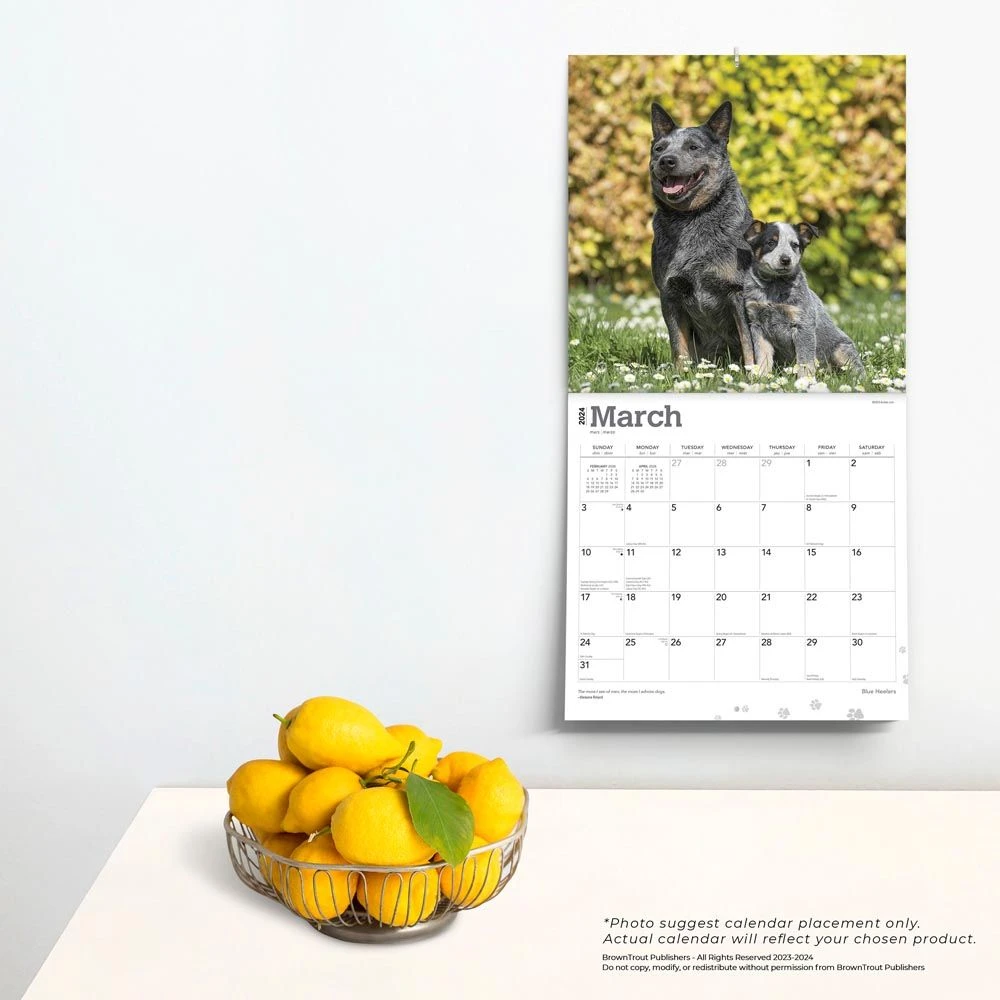 Blue Heelers 2024 Wall Calendar 6 Blue Heelers 2024 Wall Calendar - Image 4