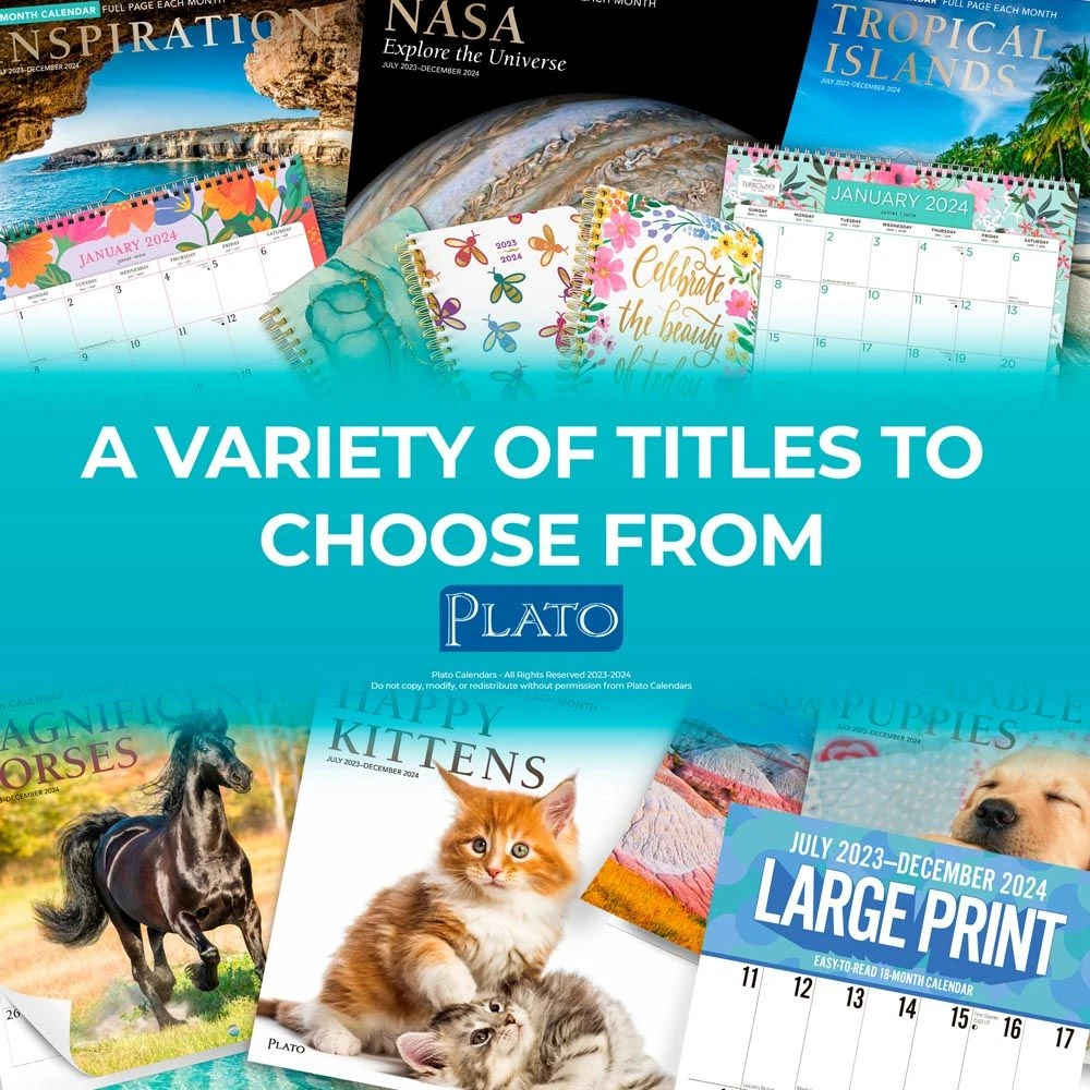 Yoga Kittens 2024 Wall Calendar 10 Yoga Kittens 2024 Wall Calendar - Image 8