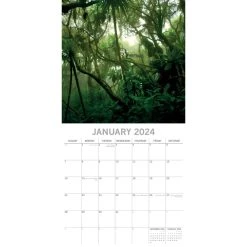 Jungles 2024 Wall Calendar -Calendars Sales Store a9fdeb92 f9ce 416f 92e8 b7d6514bc374