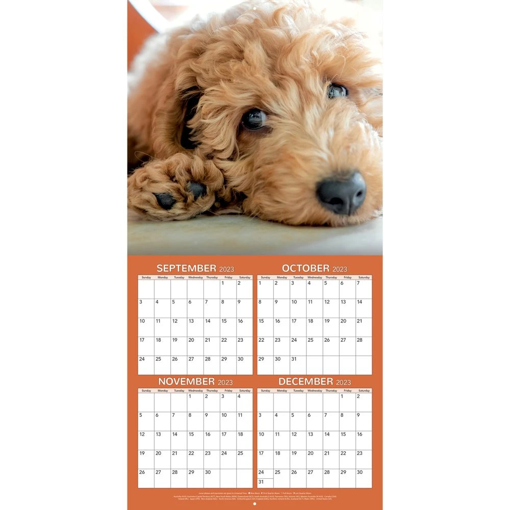 All Mixed Up! 2024 Wall Calendar 9 All Mixed Up! 2024 Wall Calendar - Image 7