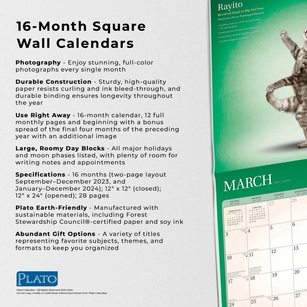 Yoga Kittens 2024 Wall Calendar 7 Yoga Kittens 2024 Wall Calendar - Image 5