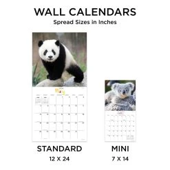Baby Animals - Wildlife 2024 Wall Calendar -Calendars Sales Store ad54b7bc 5100 43d0 b6dc 5b8f573e08f8