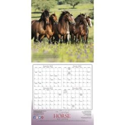 Spirited Horse 2024 Wall Calendar -Calendars Sales Store ae096865 16cd 44f6 ab55 357c862c12cf