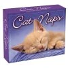 Cat Naps 2024 Desk Calendar 1 Cat Naps 2024 Desk Calendar -Calendars Sales Store ae440597 449b 4710 b5c6 c3f83b20cad4