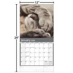 Cats Photo 2024 Wall Calendar -Calendars Sales Store aee6ae5d a1cb 4fb5 9fe6 09c2b35c629a