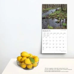 Connecticut Wild And Scenic 2024 Wall Calendar -Calendars Sales Store aff0e25a 51f7 4424 935e 76acf333b729