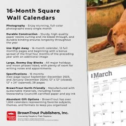 Vizslas 2024 Wall Calendar -Calendars Sales Store b0ce20fd ab7c 4dea a9a9 05ef0a8d1879