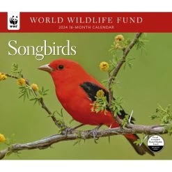 Songbirds WWF 2024 Wall Calendar