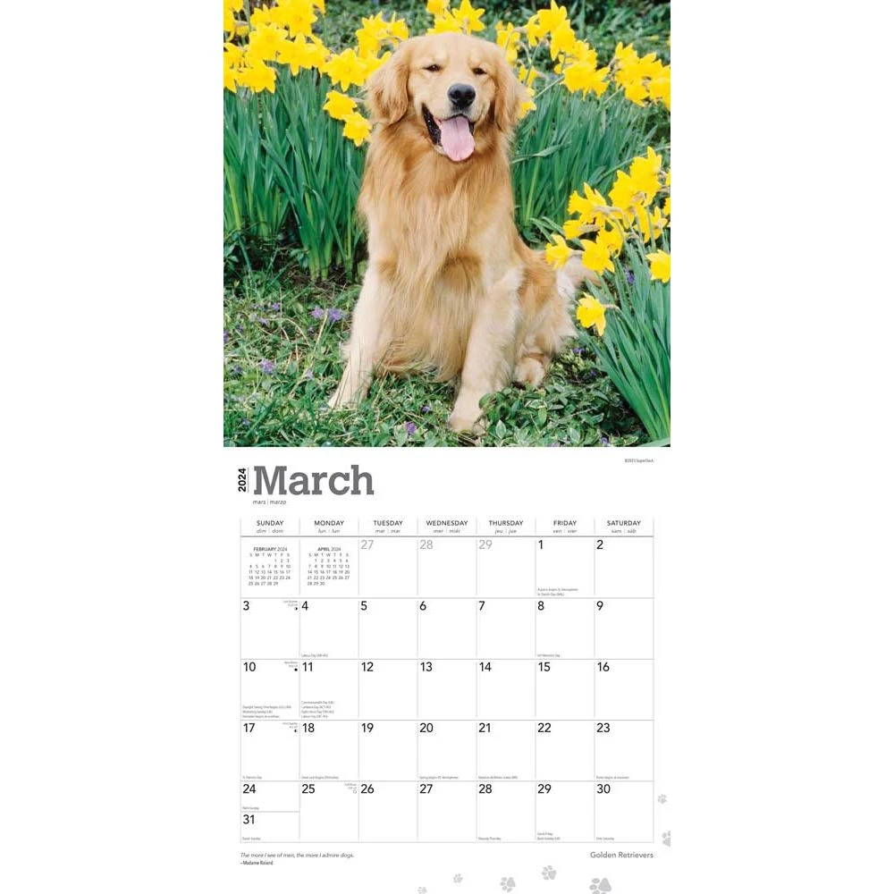 Golden Retrievers 2024 Wall Calendar 5 Golden Retrievers 2024 Wall Calendar - Image 3