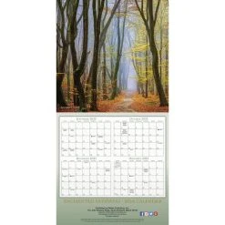 Enchanted Pathways 2024 Wall Calendar 12 Enchanted Pathways 2024 Wall Calendar -Calendars Sales Store b4e0bc10 1421 42f3 81c3 daa217c986db