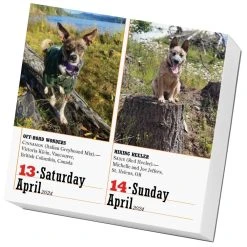 Dogs 365 2024 Desk Calendar -Calendars Sales Store b4fbb955 3464 43ba a2f1 7cc0ac7ae59a
