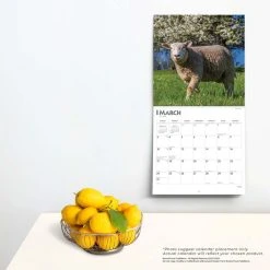 Sheep 2024 Wall Calendar -Calendars Sales Store b588b105 e0e0 4ebc 9b61 8734e4d873d8