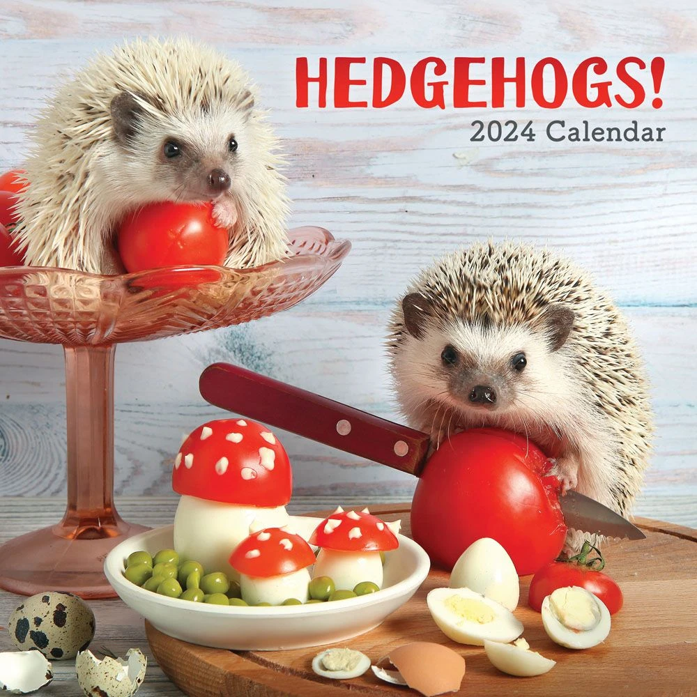 Hedgehogs! 2024 Wall Calendar 3 Hedgehogs! 2024 Wall Calendar