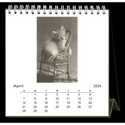 Cute Kittens Nostalgic 2024 Easel Desk Calendar -Calendars Sales Store b69d3a98 9296 4d29 a7f0 9c971f9fb514
